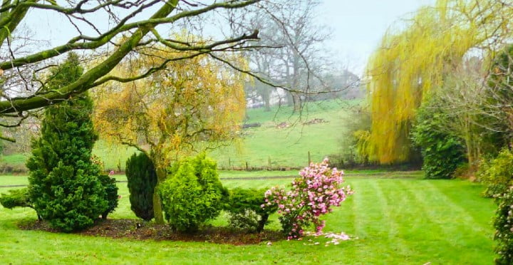 Care Homes in Shropshire – The Benefits of Park House